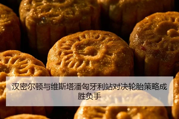han-mi-er-dun-yu-wei-si-ta-pan-xiong-ya-li-zhan-dui-jue-lun-tai-ce-lve-cheng-sheng-fu-shou-2-482.jpg